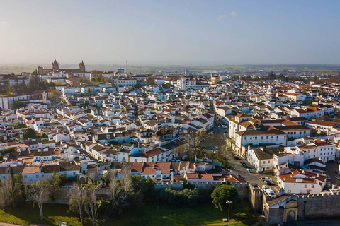 Erhvervsejendom i Evora, Evora, Evora - € 5.100.000 | Ref: TRUSTP29011 - foto 8