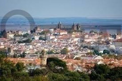 Erhvervsejendom i Evora, Evora, Evora - € 5.100.000 | Ref: TRUSTP29011 - foto 19