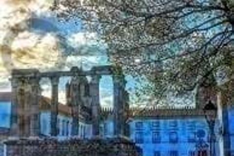 Erhvervsejendom i Evora, Evora, Evora - € 5.100.000 | Ref: TRUSTP29011 - foto 21