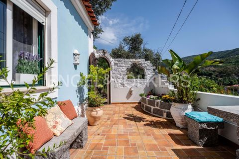 Villa i Monchique, Faro, Monchique - € 250.000 | Ref: W-048I9T - foto 24