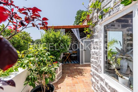 Villa i Monchique, Faro, Monchique - € 250.000 | Ref: W-048I9T - foto 25