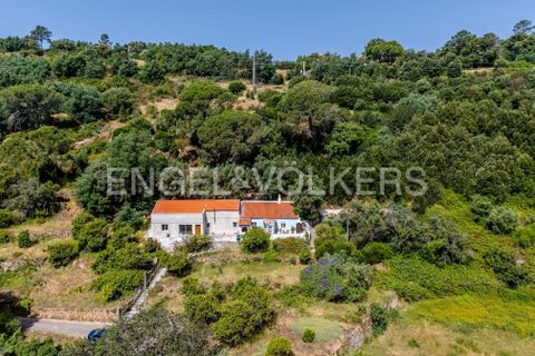 Villa i Monchique, Faro, Monchique - € 250.000 | Ref: W-048I9T - foto 29