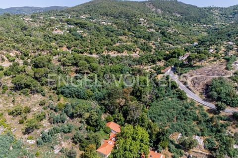 Villa i Monchique, Faro, Monchique - € 250.000 | Ref: W-048I9T - foto 30