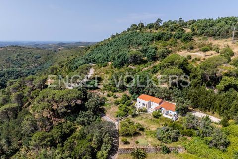 Villa i Monchique, Faro, Monchique - € 250.000 | Ref: W-048I9T - foto 32