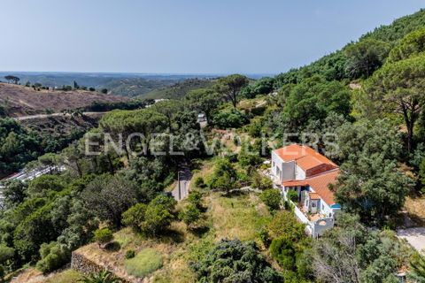 Villa i Monchique, Faro, Monchique - € 250.000 | Ref: W-048I9T - foto 33