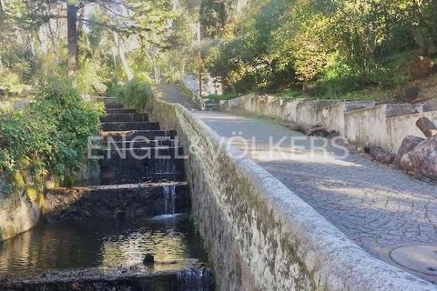 Villa i Monchique, Faro, Monchique - € 250.000 | Ref: W-048I9T - foto 35
