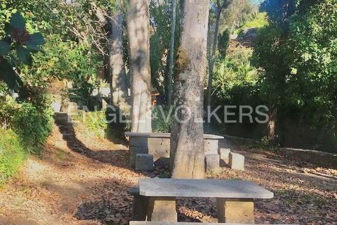Villa i Monchique, Faro, Monchique - € 250.000 | Ref: W-048I9T - foto 37