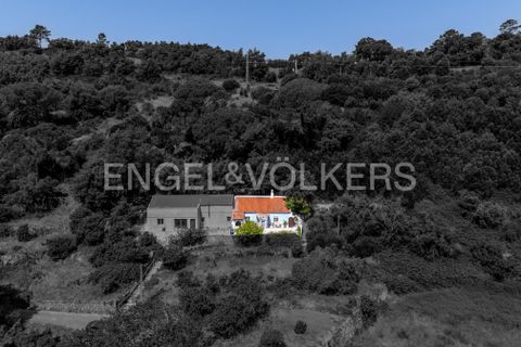 Villa i Monchique, Faro, Monchique - € 250.000 | Ref: W-048I9T - foto 39