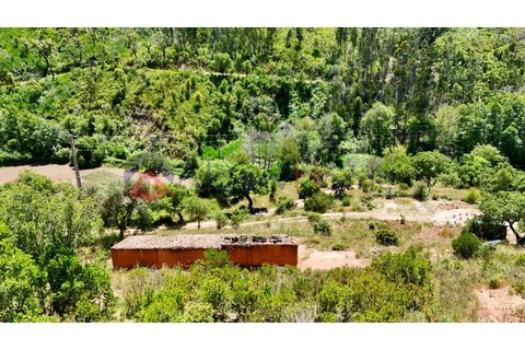 L'establiment comercial a Odeceixe, Faro, Odeceixe - € 245.000 | Ref: FIN_379 - foto 7