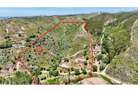 L'establiment comercial a Odeceixe, Faro, Odeceixe - € 245.000 | Ref: FIN_379 - foto 8