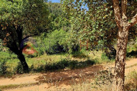 L'establiment comercial a Odeceixe, Faro, Odeceixe - € 245.000 | Ref: FIN_379 - foto 9