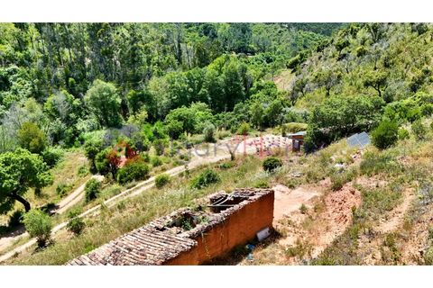 L'establiment comercial a Odeceixe, Faro, Odeceixe - € 245.000 | Ref: FIN_379 - foto 16