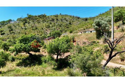 L'establiment comercial a Odeceixe, Faro, Odeceixe - € 245.000 | Ref: FIN_379 - foto 20