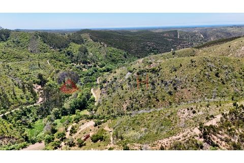 L'establiment comercial a Odeceixe, Faro, Odeceixe - € 245.000 | Ref: FIN_379 - foto 33