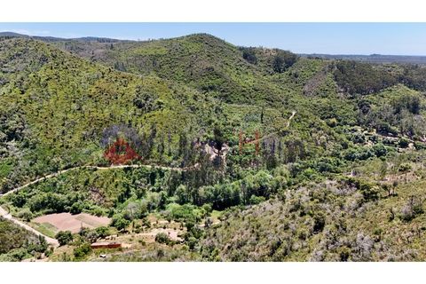 L'establiment comercial a Odeceixe, Faro, Odeceixe - € 245.000 | Ref: FIN_379 - foto 35