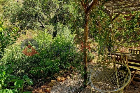 L'establiment comercial a Odeceixe, Faro, Odeceixe - € 245.000 | Ref: FIN_379 - foto 38