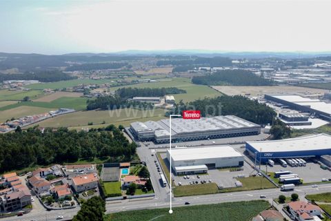 Helårsgrund i Maia, Porto, Maia - € 1.700.000 | Ref: 352260082 - foto 6