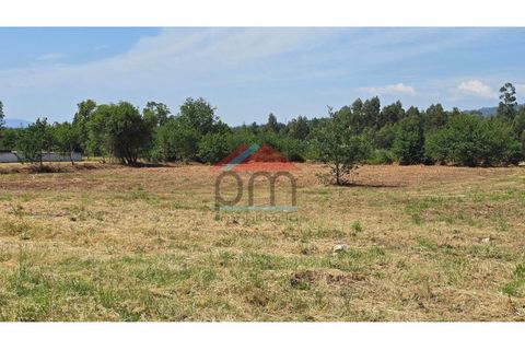 Helårsgrund i Bela, Viana do Castelo, Bela - € 400.000 | Ref: TE606 - foto 5