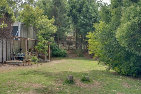 Villa a Espinho, Aveiro, Espinho - € 168.000 | Ref: C0496-00197 - foto 10