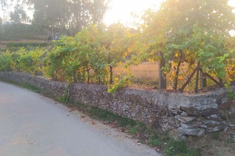 Helårsgrund i Arouca, Aveiro, Arouca - € 35.000 | Ref: C0496-00195 - foto 2
