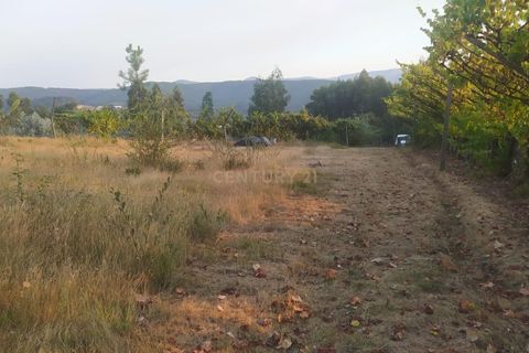 Helårsgrund i Arouca, Aveiro, Arouca - € 35.000 | Ref: C0496-00195 - foto 3