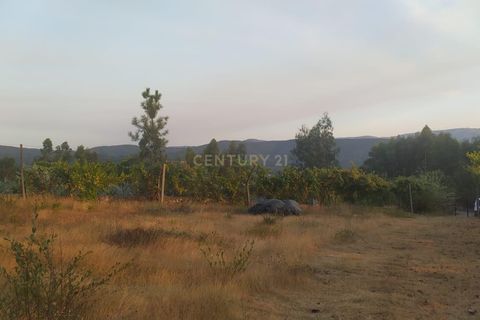 Helårsgrund i Arouca, Aveiro, Arouca - € 35.000 | Ref: C0496-00195 - foto 4