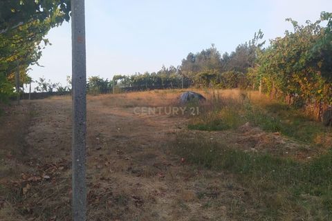 Helårsgrund i Arouca, Aveiro, Arouca - € 35.000 | Ref: C0496-00195 - foto 5
