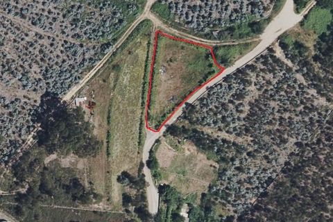 Helårsgrund i Arouca, Aveiro, Arouca - € 35.000 | Ref: C0496-00195 - foto 6