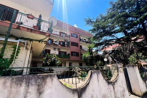 Lejlighed i Scalea, Cosenza, Scalea - € 115.000 | Ref: 1573 - foto 20
