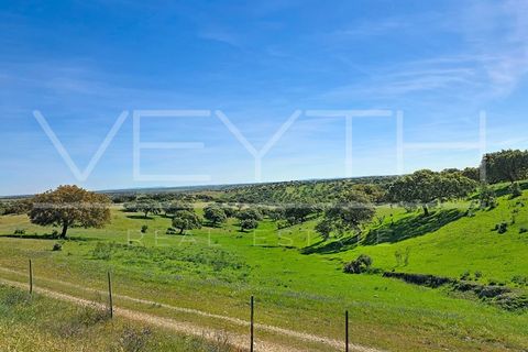 Villa i Moura, Beja, Moura - € 50.000 | Ref: MOR_120 - foto 32