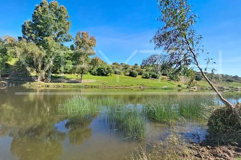 Villa a Moura, Beja, Moura - € 40.000 | Ref: MOR_119 - foto 32