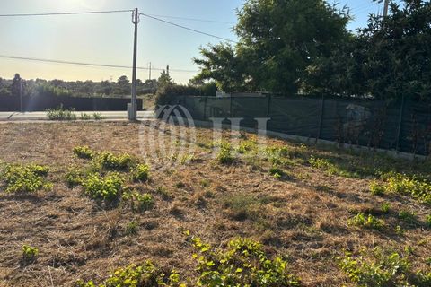Helårsgrund i Santo Andre, Setubal, Santo Andre - € 337.500 | Ref: 98122 - foto 14