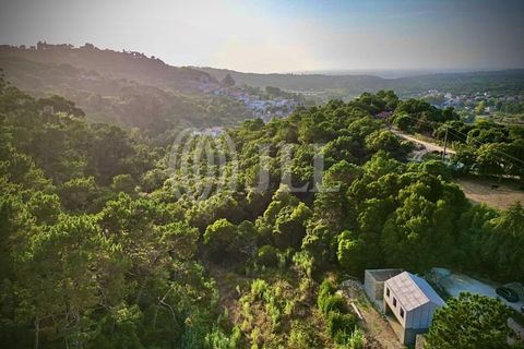 Villa a Almocageme, Lisbon, Almocageme - € 1.795.000 | Ref: 98218 - foto 6