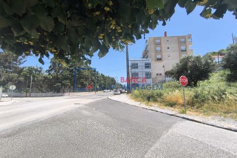 Terra a Alcanena, Santarem, Alcanena - € 41.500 | Ref: T-30932 - foto 2