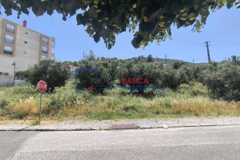 Terra a Alcanena, Santarem, Alcanena - € 41.500 | Ref: T-30932 - foto 3