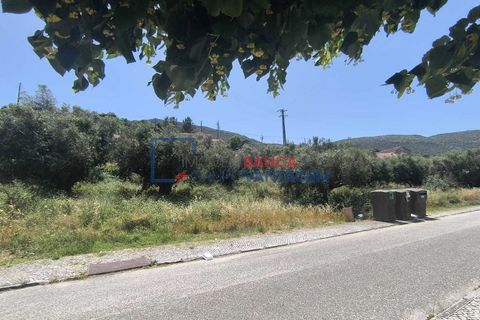 Terra a Alcanena, Santarem, Alcanena - € 41.500 | Ref: T-30932 - foto 4