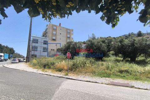 Terra a Alcanena, Santarem, Alcanena - € 41.500 | Ref: T-30932 - foto 5