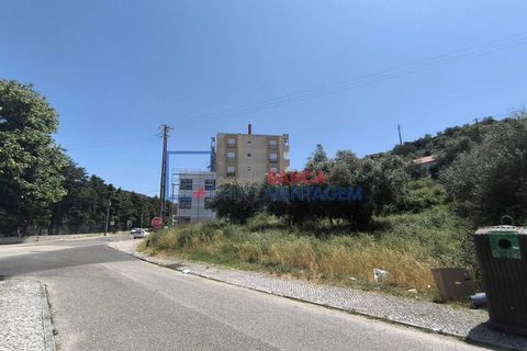 Terra a Alcanena, Santarem, Alcanena - € 41.500 | Ref: T-30932 - foto 7