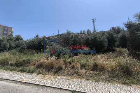 Terra a Alcanena, Santarem, Alcanena - € 41.500 | Ref: T-30932 - foto 10