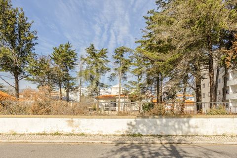 Helårsgrund i Oeiras, Lisbon, Oeiras - € 875.000 | Ref: 98215 - foto 3