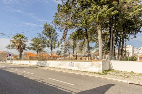 Helårsgrund i Oeiras, Lisbon, Oeiras - € 875.000 | Ref: 98215 - foto 5