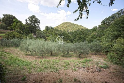 Villa a Viterbo, Viterbo, Viterbo - € 389.000 | Ref: CBI006-7-332806 - foto 30