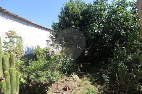 Villa i Arganil, Coimbra, Arganil - € 46.000 | Ref: M-30960 - foto 6