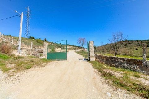 Farm i Guarda, Guarda, Guarda - € 435.000 | Ref: Q-30948 - foto 2