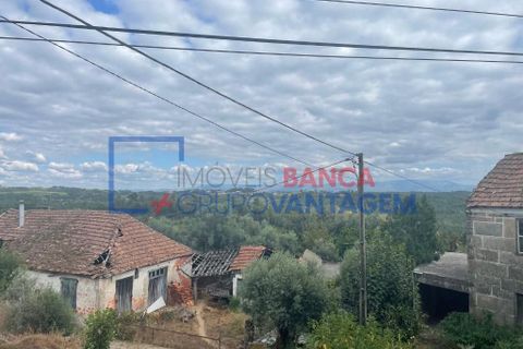 Villa i Carregal do Sal, Viseu, Carregal do Sal - € 76.500 | Ref: M-30944 - foto 11