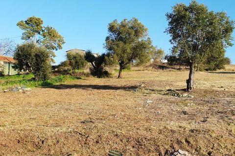 Helårsgrund i Coimbra, Coimbra, Coimbra - € 59.000 | Ref: T-30938 - foto 3