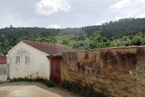 Villa i Coimbra, Coimbra, Coimbra - € 55.000 | Ref: M-30934 - foto 3