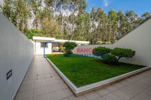 Byhus i Trofa, Porto, Trofa - € 439.000 | Ref: M-30914 - foto 22