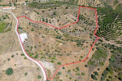Farm hus i Odeleite, Faro, Odeleite - € 270.000 | Ref: KWPT-032419 - foto 1