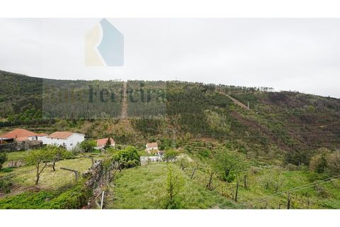 Villa i Seia, Guarda, Seia - € 260.000 | Ref: RF-14-04/2026 - foto 11